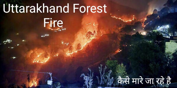 Uttrakhand Fire News